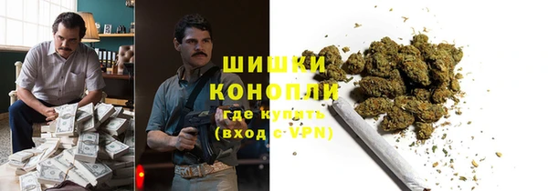 тгк Инта