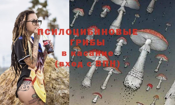 твердый Иннополис
