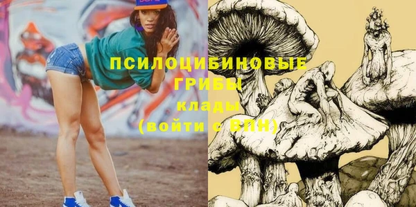 твердый Иннополис