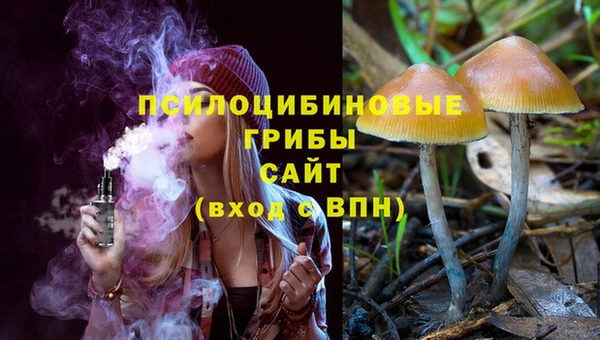 mdpv Инсар