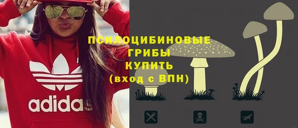 твердый Иннополис