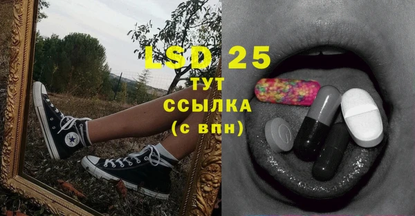 mdpv Инсар