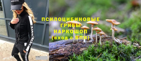 твердый Иннополис