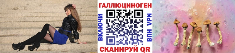 Купить  Тулун  Псилоцибиновые грибы GOLDEN TEACHER 